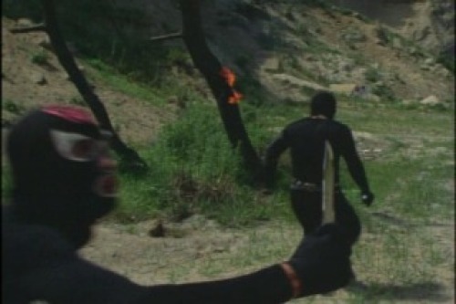PDVD_019.jpg