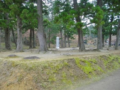 平泉毛越寺金堂円隆寺跡 (500x375).jpg