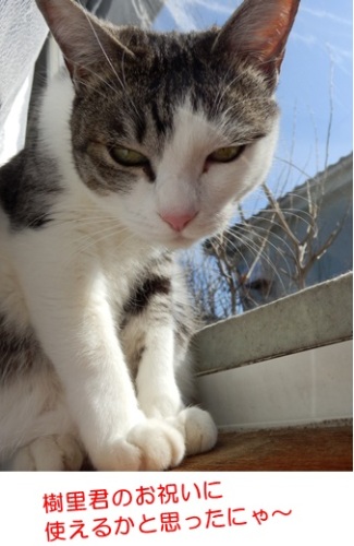 20150202_3.jpg