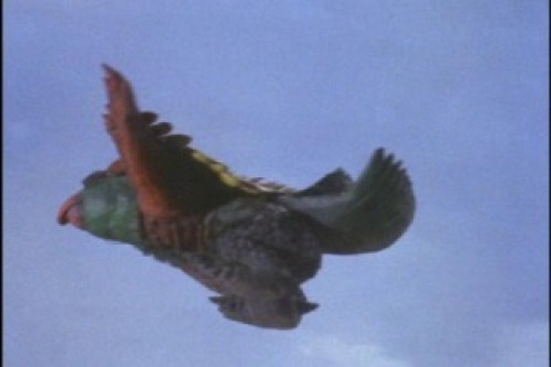 PDVD_039.jpg