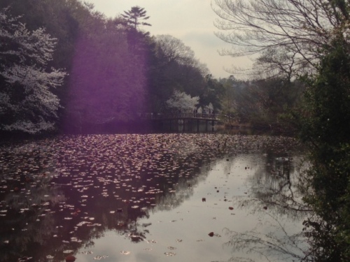 20130324－14.jpeg