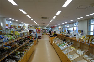 富士吉田5.jpg