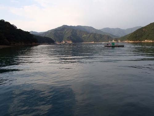 PA270103.JPG