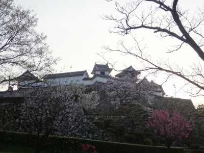 DSC00376.jpg