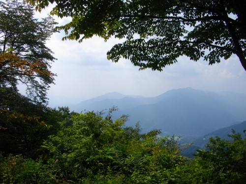 生藤山三国峠 (2) (500x375).jpg