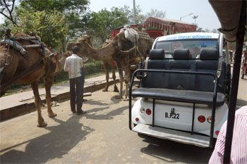 インド368.jpg