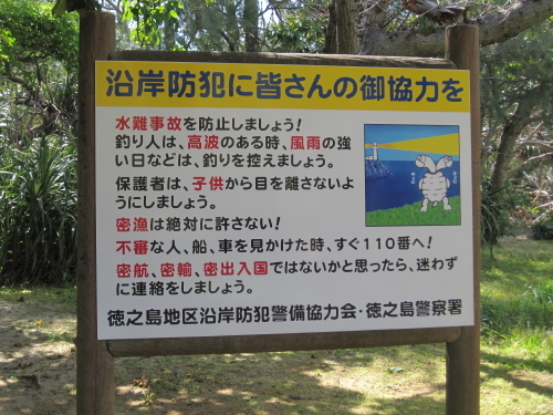 IMG_2419.jpg