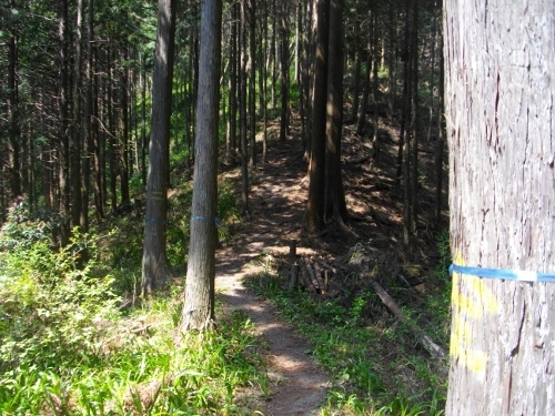 辛垣城土橋 (500x375).jpg