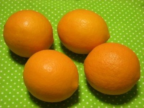 DSCN5930 (300x225).jpg