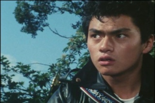 PDVD_063.jpg