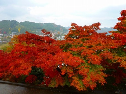 大子町永源寺_17.jpg