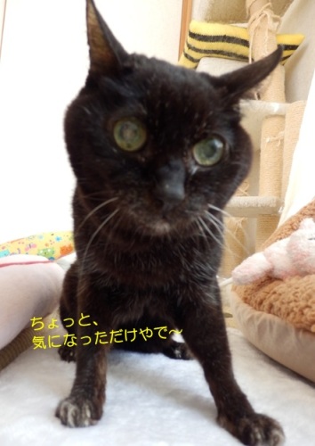 20151106_5.jpg