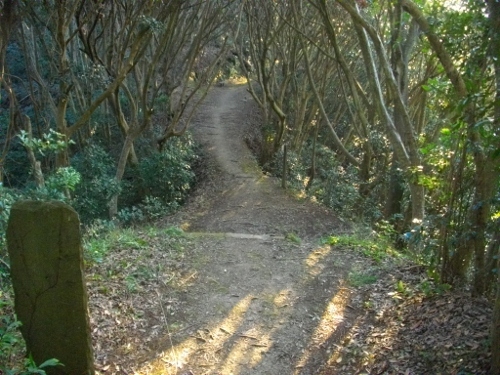 高塚山登山道 (3) (500x375).jpg