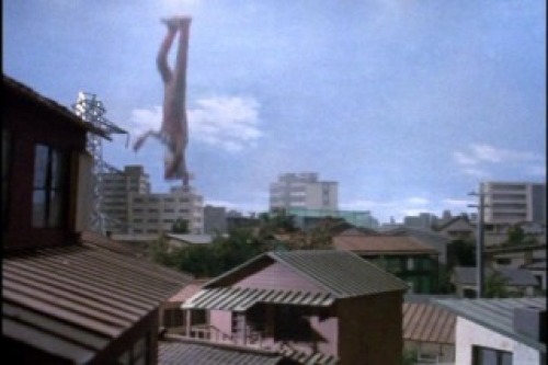 PDVD_052.jpg