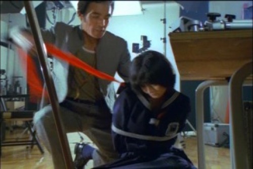 PDVD_333.jpg