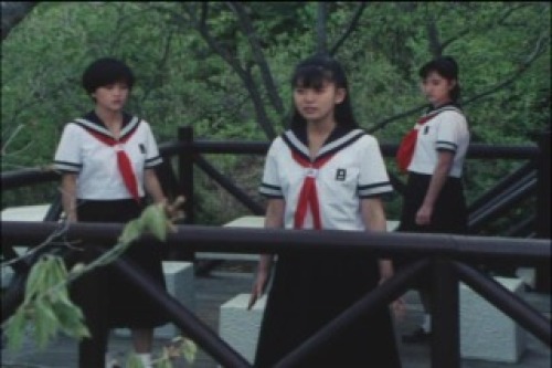 PDVD_010.jpg