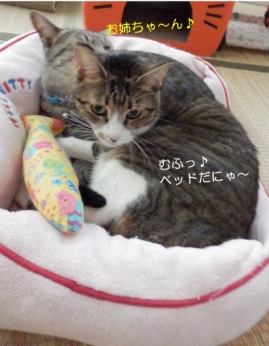 20150830_8.jpg