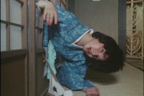 PDVD_021.jpg