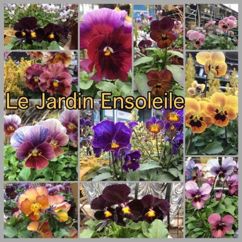 rblog-20150109092444-01.jpg
