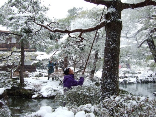 銀閣　雪落し.jpg