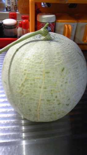 ８月１７日 004.JPG