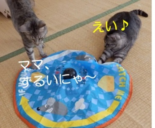 20130802_7.jpg