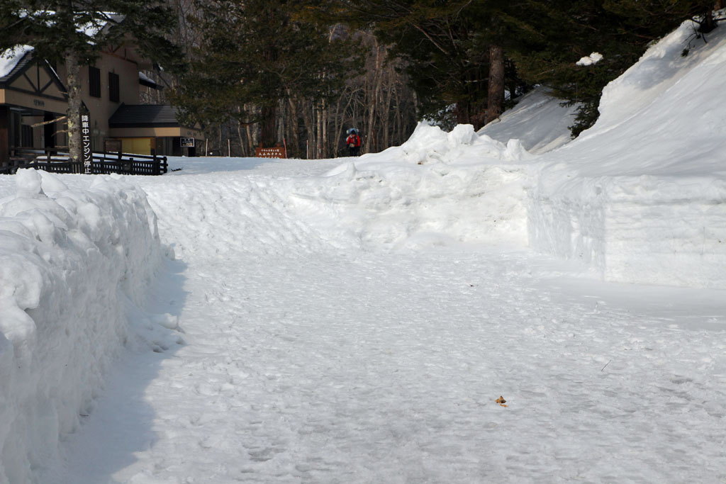 県道上高地線・大正池付近