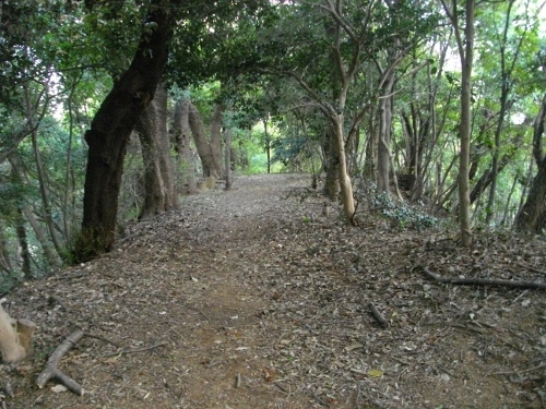 小机城矢倉台 (500x375).jpg