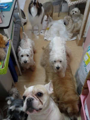 6メディマル.jpg