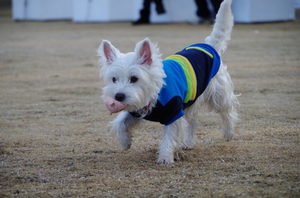 IMGP0232.jpg