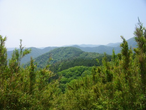 南郷山幕山 (2) (500x375).jpg