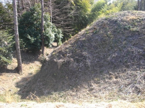 杉山城土塁 (500x375).jpg