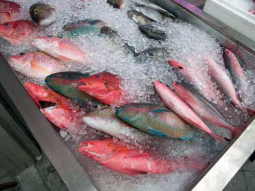 国際通りの魚屋さん
