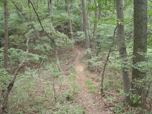 P9150073.JPG