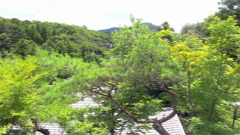 半水慮81.jpg