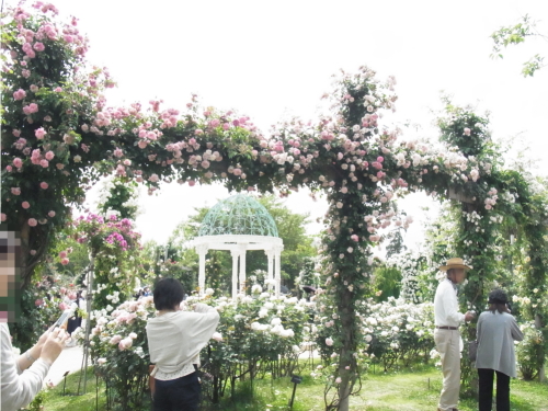 20130525京成バラ園　４ドーム.jpg