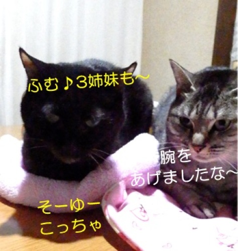 20140222_4.jpg