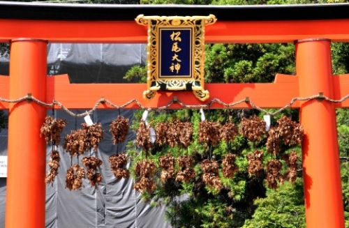 pict-松尾大社 8.jpg