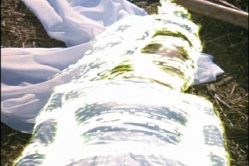 PDVD_058.jpg