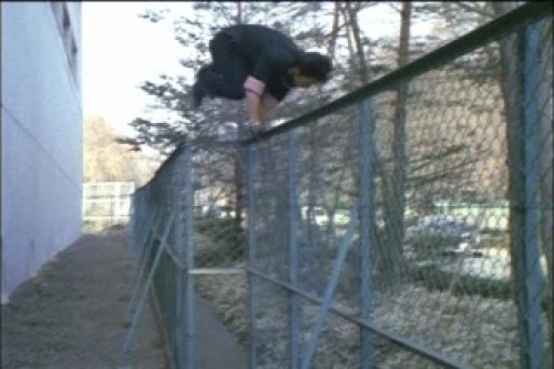 PDVD_031.jpg