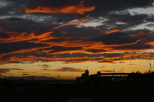 P1160101 のコピー.JPG