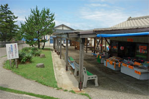 尖閣湾5.jpg