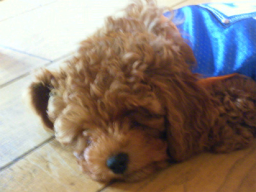 DSCF8360.jpg