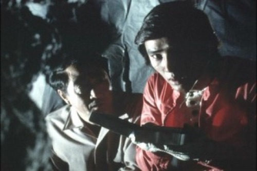 PDVD_138.jpg