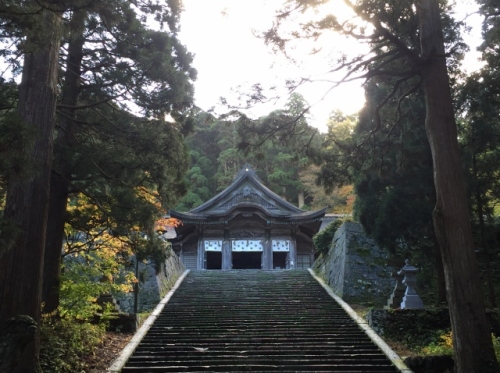 IMG_6496 (640x478).jpg