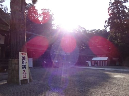 奈良 大神神社 2014.11.15  (7).JPG