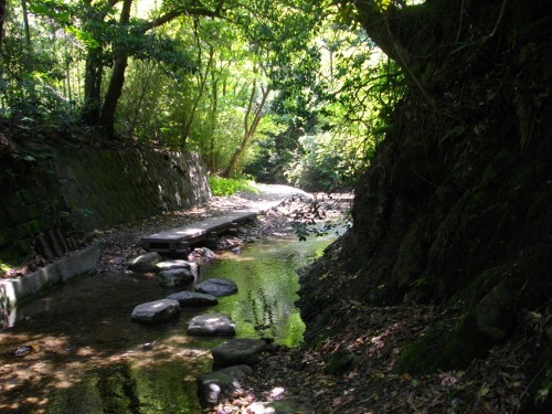 大楠山前田川 (2) (500x375).jpg