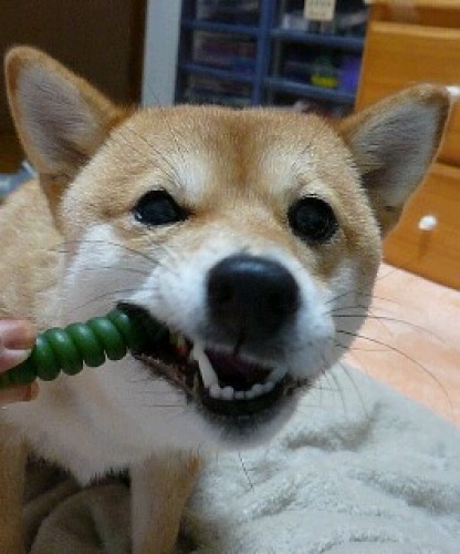んぐ.JPG