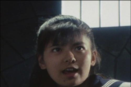 PDVD_000.jpg