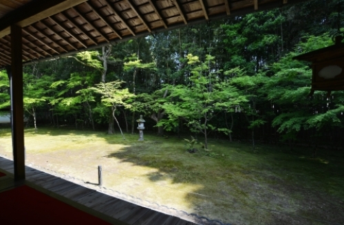 pict-高桐院　8.jpg